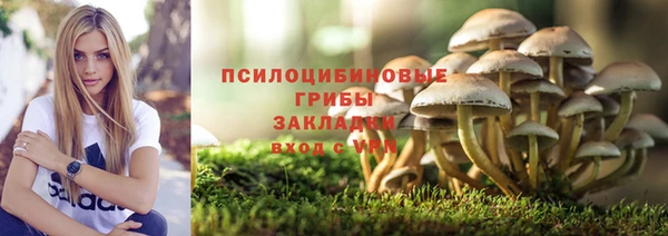2c-b Бронницы