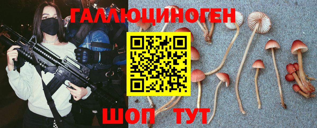 Псилоцибиновые грибы Magic Shrooms  Вход с VPN  Балаково  Галлюциногенные грибы GOLDEN TEACHER 