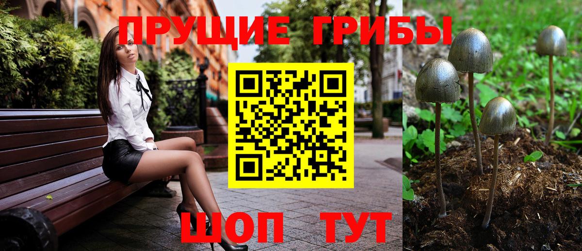 Галлюциногенные грибы Psilocybine cubensis Балаково