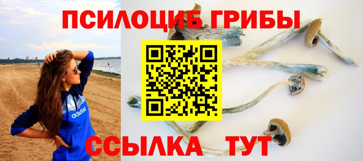 Галлюциногенные грибы мицелий Балаково